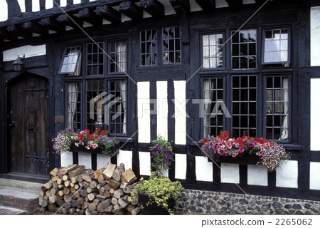 82953美人魚在萊英格蘭 2265062