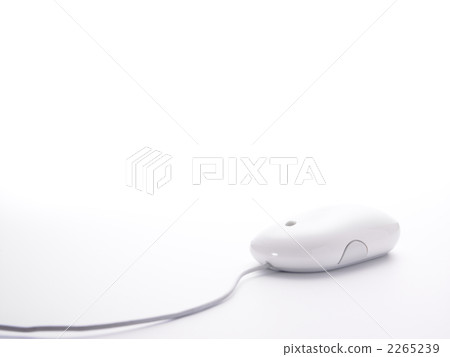 Mouse 2265239