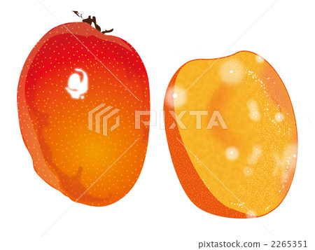 mango mango 2265351