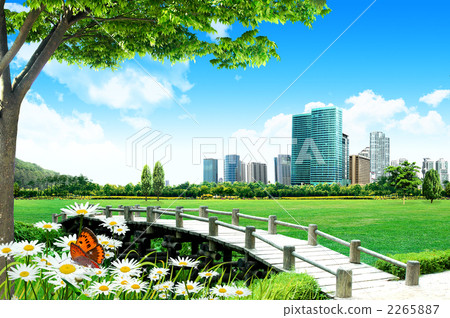 樹城_k _ 267736 樹城_k _ 267736 2265887