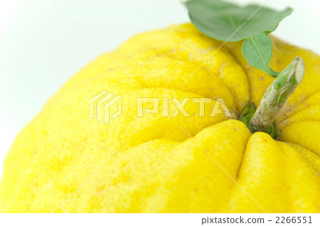 with leaves, with greens, citrus fruit 2266551