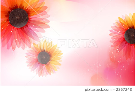 Flower / Nature / Flora and fauna _c _ 920583 2267248