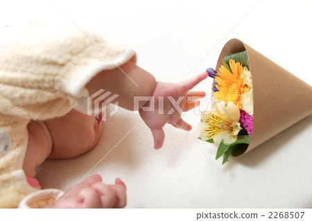bouquet, baby, hand 2268507