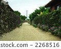 street, townscape, taketomi island 2268516