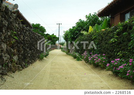 street, townscape, taketomi island 2268516