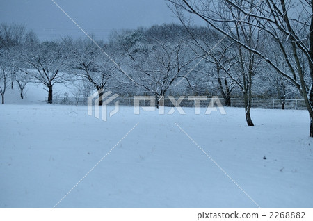 雪景 2268882