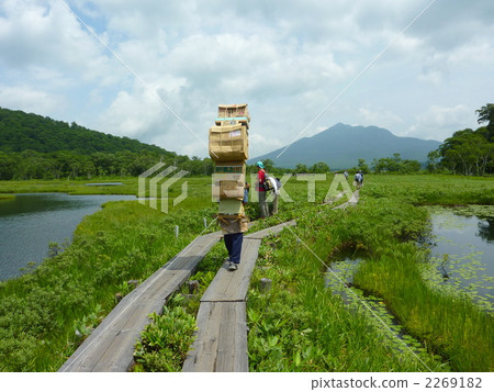Oze National Park Ozegahara 2269182