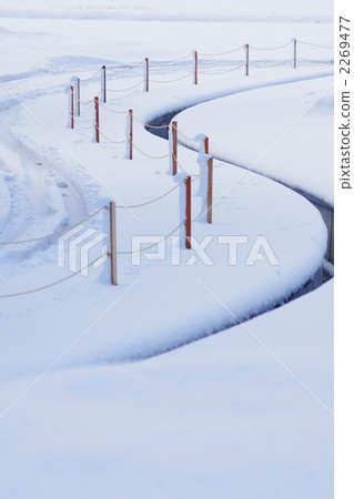 繼雪後 2269477