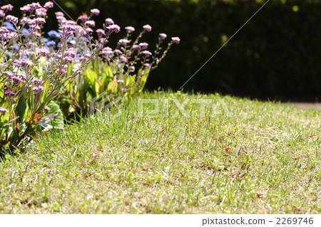 April Waslenagsa / Murasaki Department 08 2269746