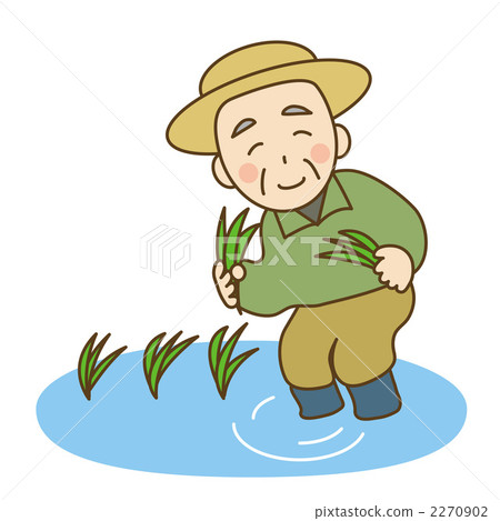 Rice planting - Stock Illustration [2270902] - PIXTA