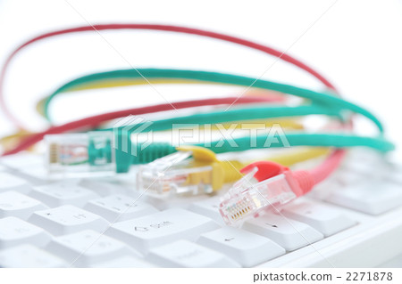 lan, lan cable, cable 2271878