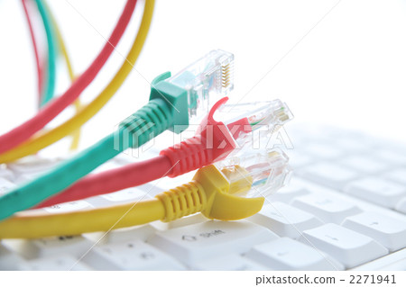 lan cable, lan, cable 2271941