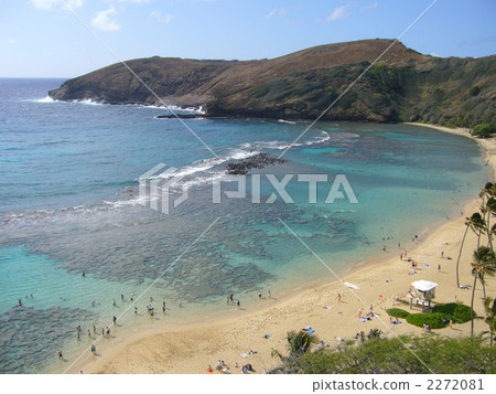 海 大海 海洋 2272081