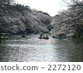井之頭公園 船 划船 2272120