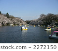 井之頭公園 船 划船 2272150