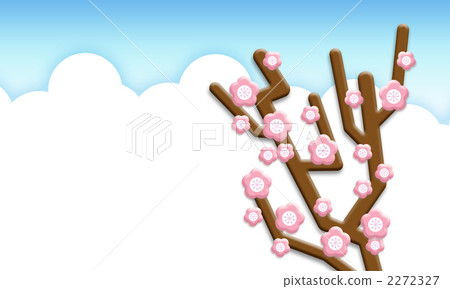 flower, flowers, ume 2272327
