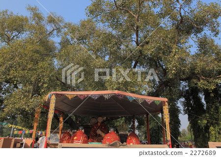 Srinato的Bhuttagaya移植的菩提樹 2272689