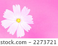 Cosmos 2273721