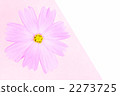 Cosmos 2273725