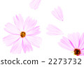 Cosmos 2273732