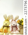 interior, interiors, cuddly toy 2273796