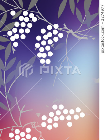 花紋 樣式 紋樣 2274977