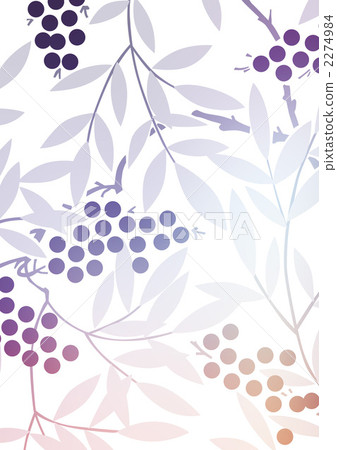 nandina, foliage, leaf 2274984