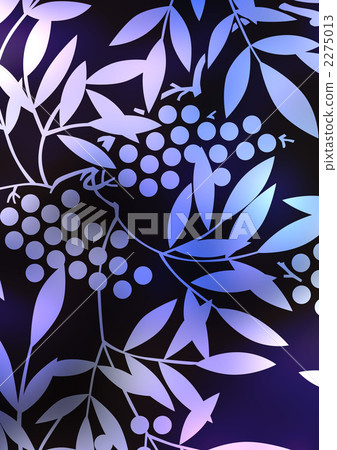 花紋 樣式 紋樣 2275013