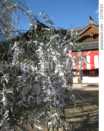 很多Omikuji 2275014