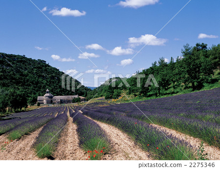 Senank Abbey in the province of Provence Senank Abbey in the province of Provence 2275346