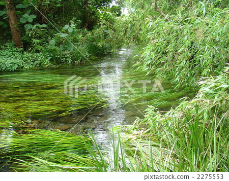 竹崎水源 2275553