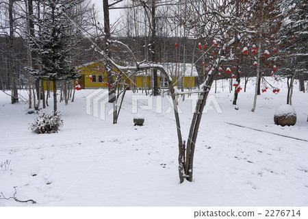 wood, branch, snow scene 2276714