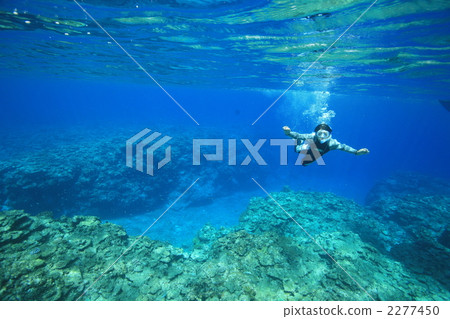 跳水 潛水 浮潛 2277450