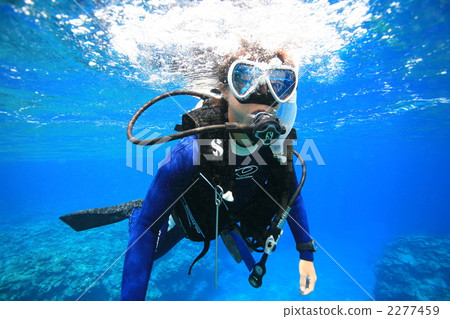 diving, diver, divers 2277459