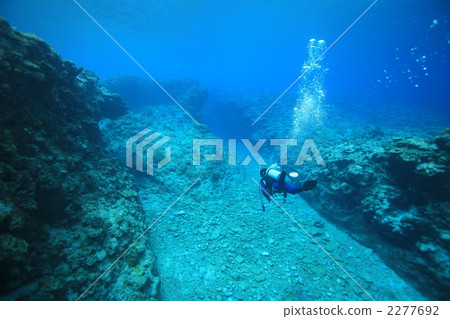 diving, diver, divers 2277692
