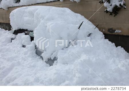 Cars parked on the street covered in snow due to heavy snowfall 2278734