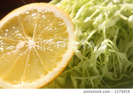 Shredded cabbage 2278858