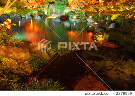 科科花園 池塘 鹹水湖 2279959