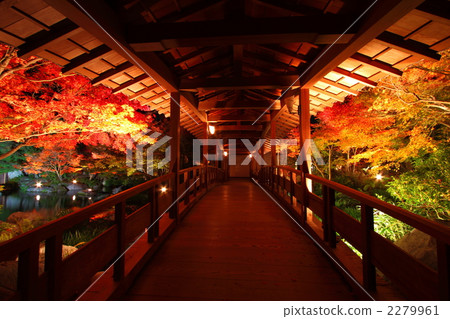 koko garden, corridor, passage 2279961