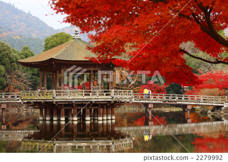 浮禦堂寺 寺 寺院 2279992