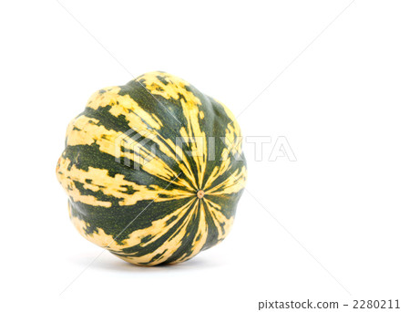 Pepo-pumpkin Pepo-pumpkin 2280211
