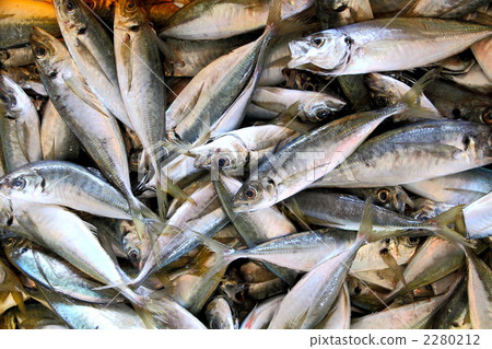 油炸馬鯖魚 2280212