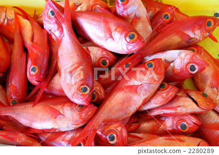 Deep-fried sweetfish Deep-fried sweetfish 2280289