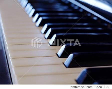 鍵盤 鋼琴 器具 2281102