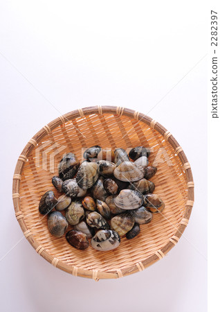 翻箱倒柜 海产品