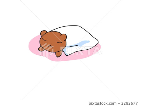 松鼠熊 松鼠熊 2282677