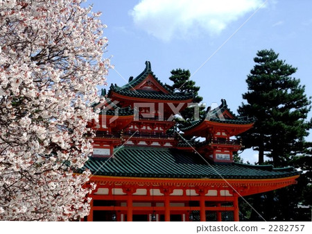 Heian Shrine Cherry Blossoms 2282757
