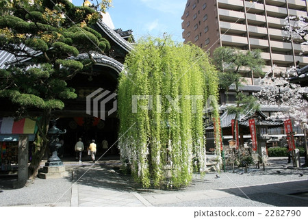 六角大樓 六角大樓 2282790