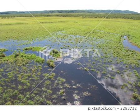kushiro wetlands, marsh, wetland 2283732