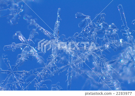 Crystal of snow Crystal of snow 2283977